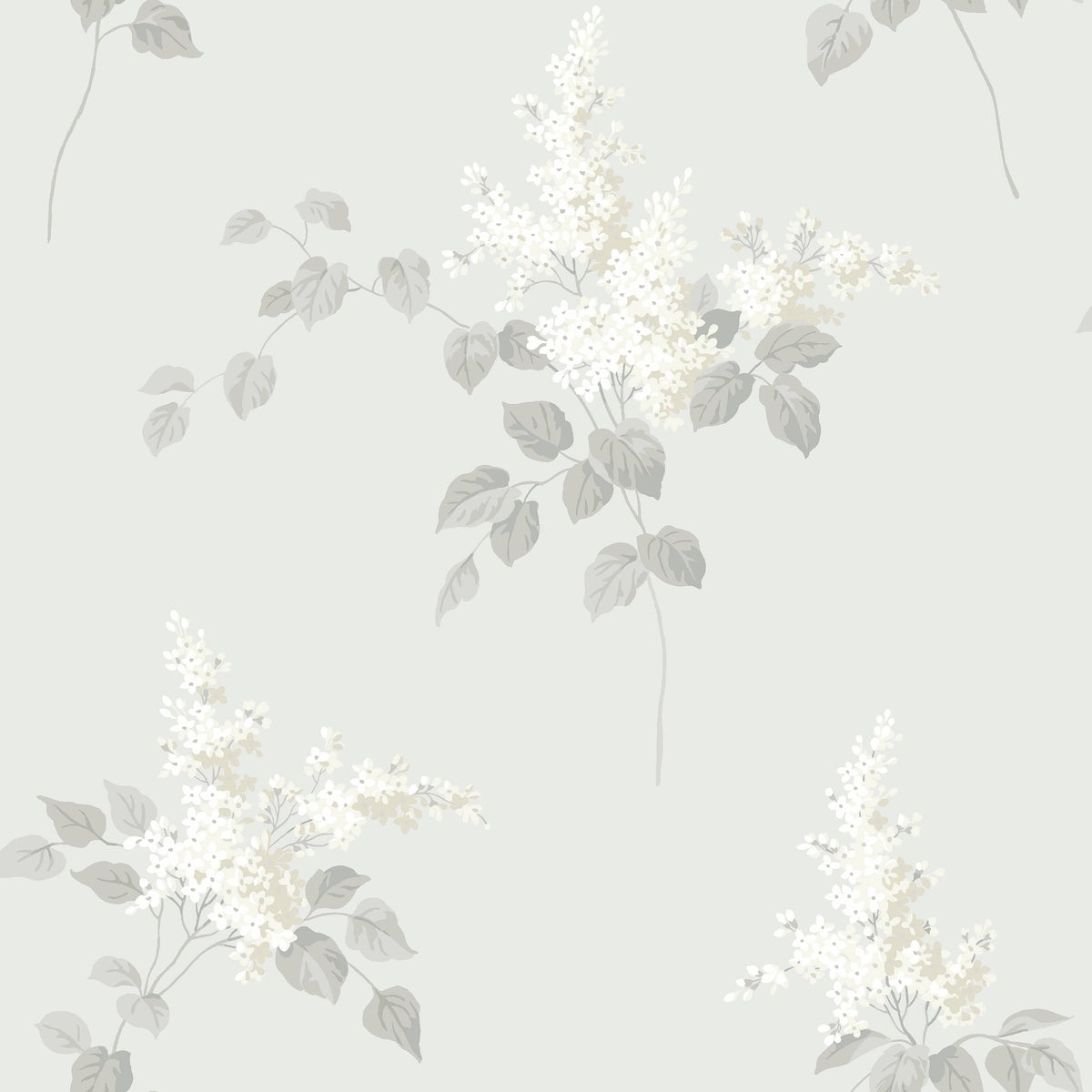 Lilacs, Grey