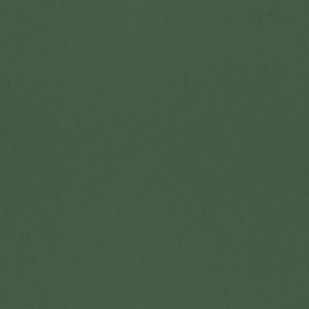 Eklöv – 77001