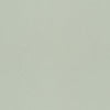 Mint – 77003