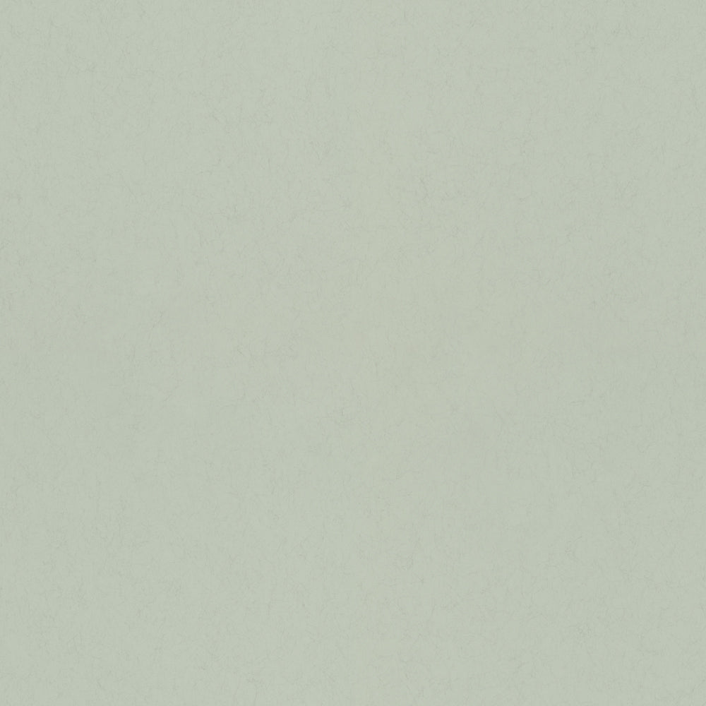 Mint – 77003