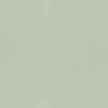 Mint – 77003
