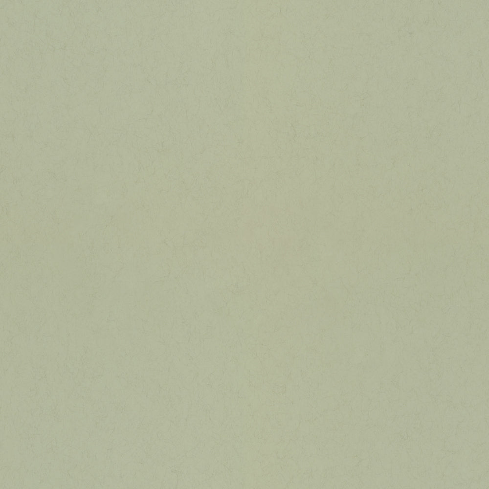 Pistage – 77005