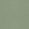 Salvia – 77006
