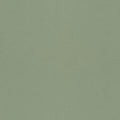 Salvia – 77006