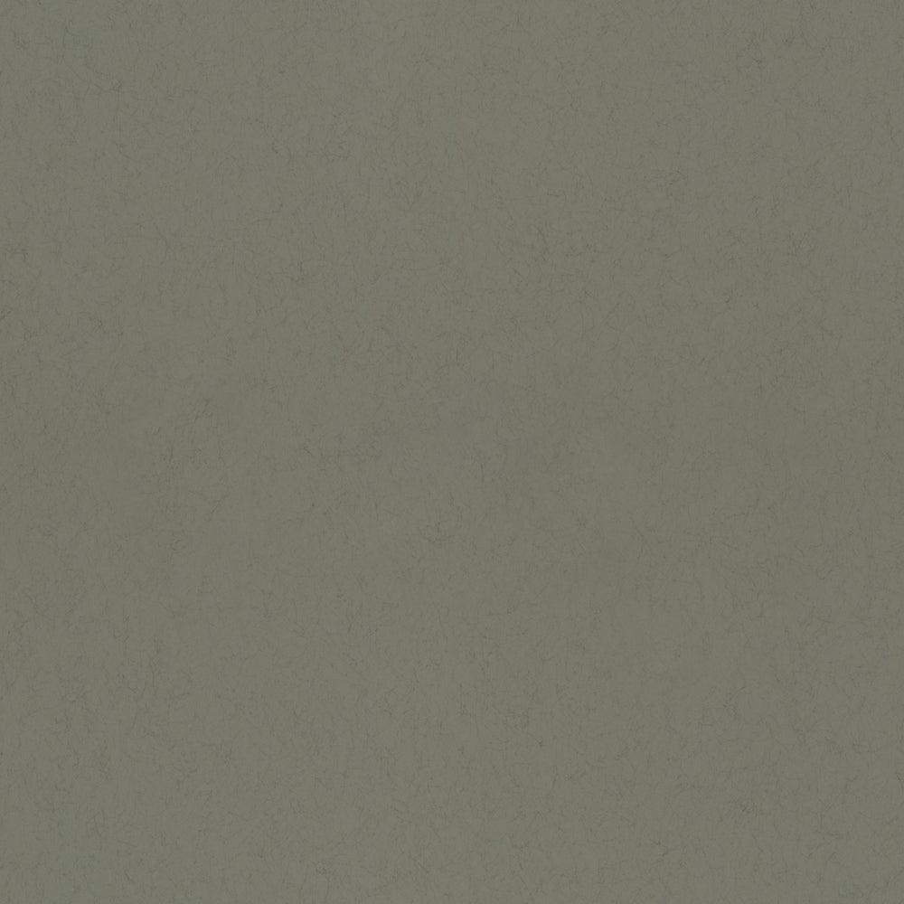 Barr – 77008
