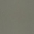 Barr – 77008