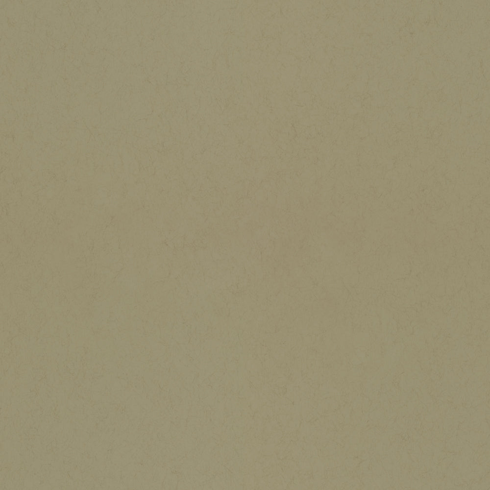 Oliv – 77009