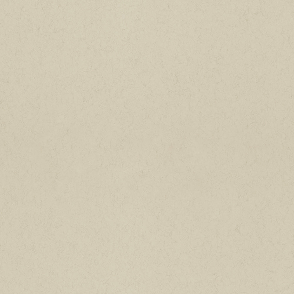 Lin – 77013