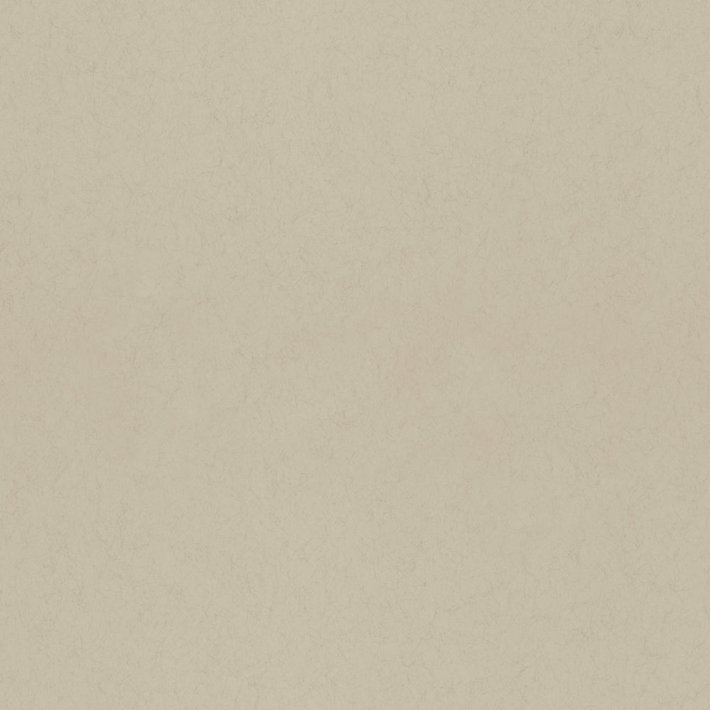 Anis – 77015