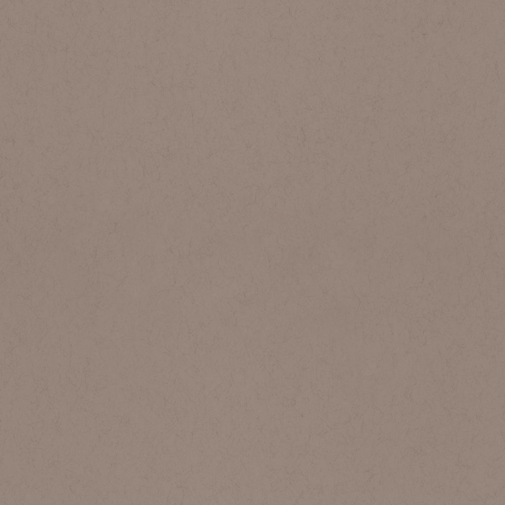 Kanel – 77017