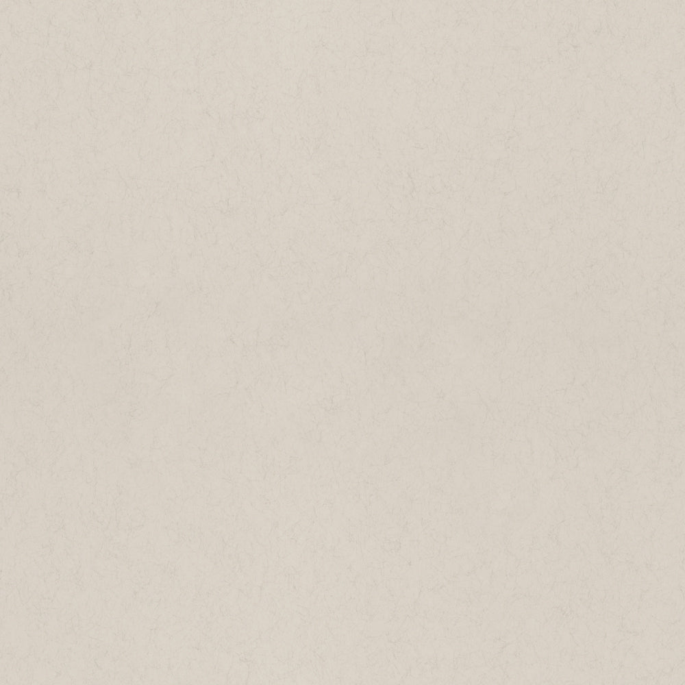 Vide – 77020