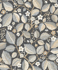 Elm Tree, Black
