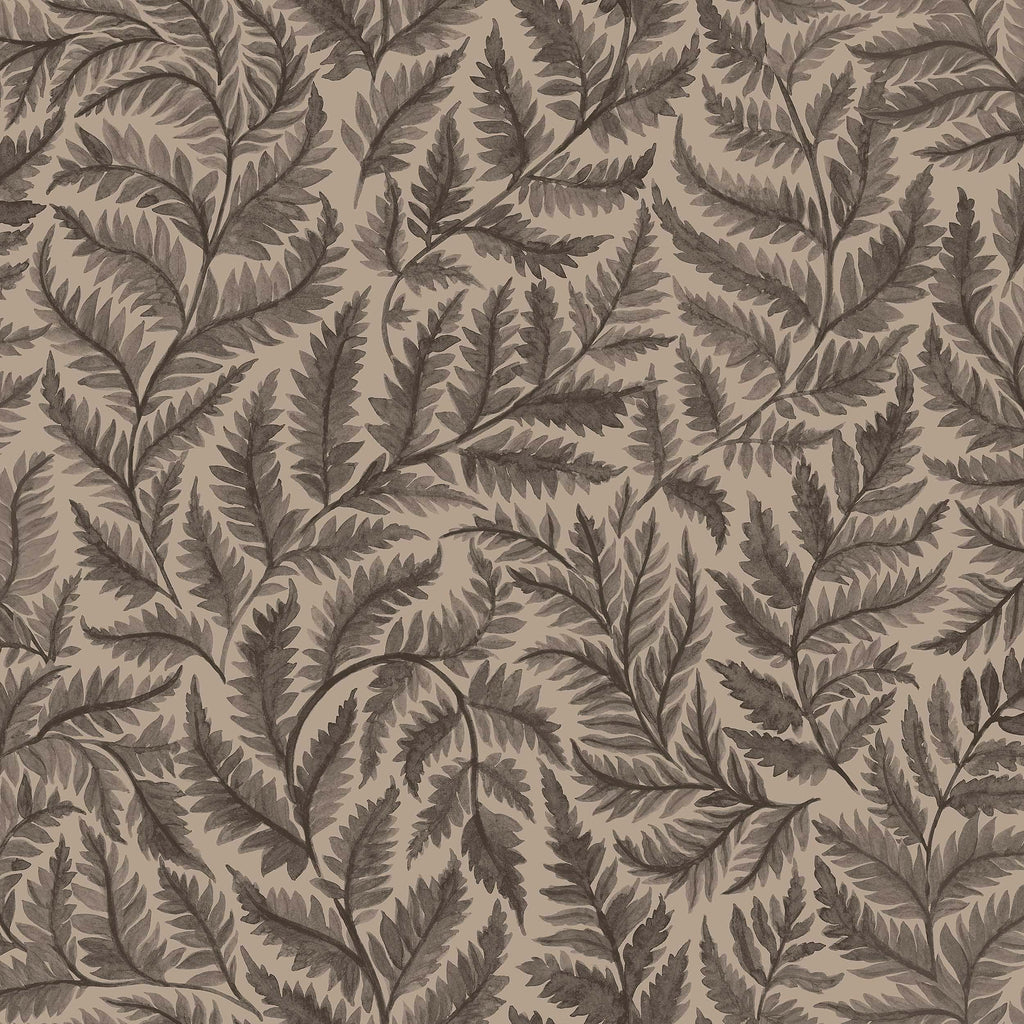 Ferns, Black