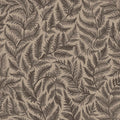 Ferns, Black
