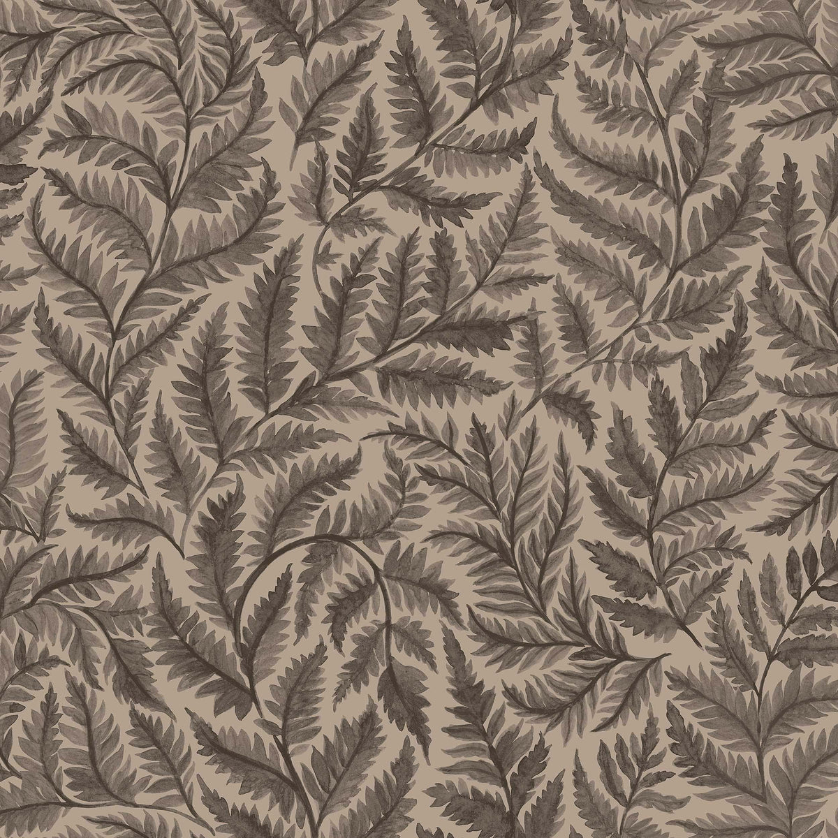Ferns, Black