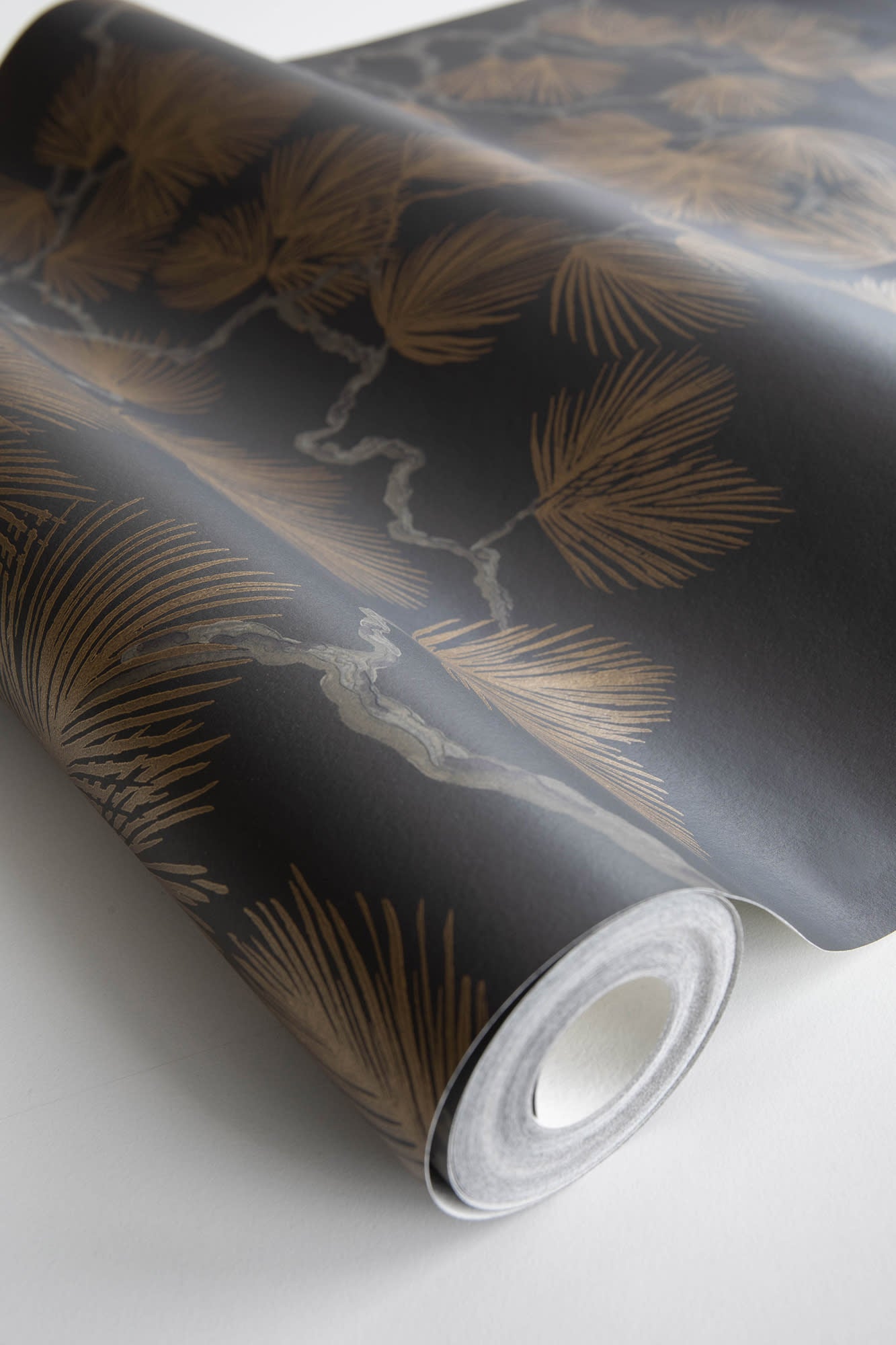 Pine, Black