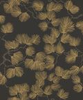 Pine, Black