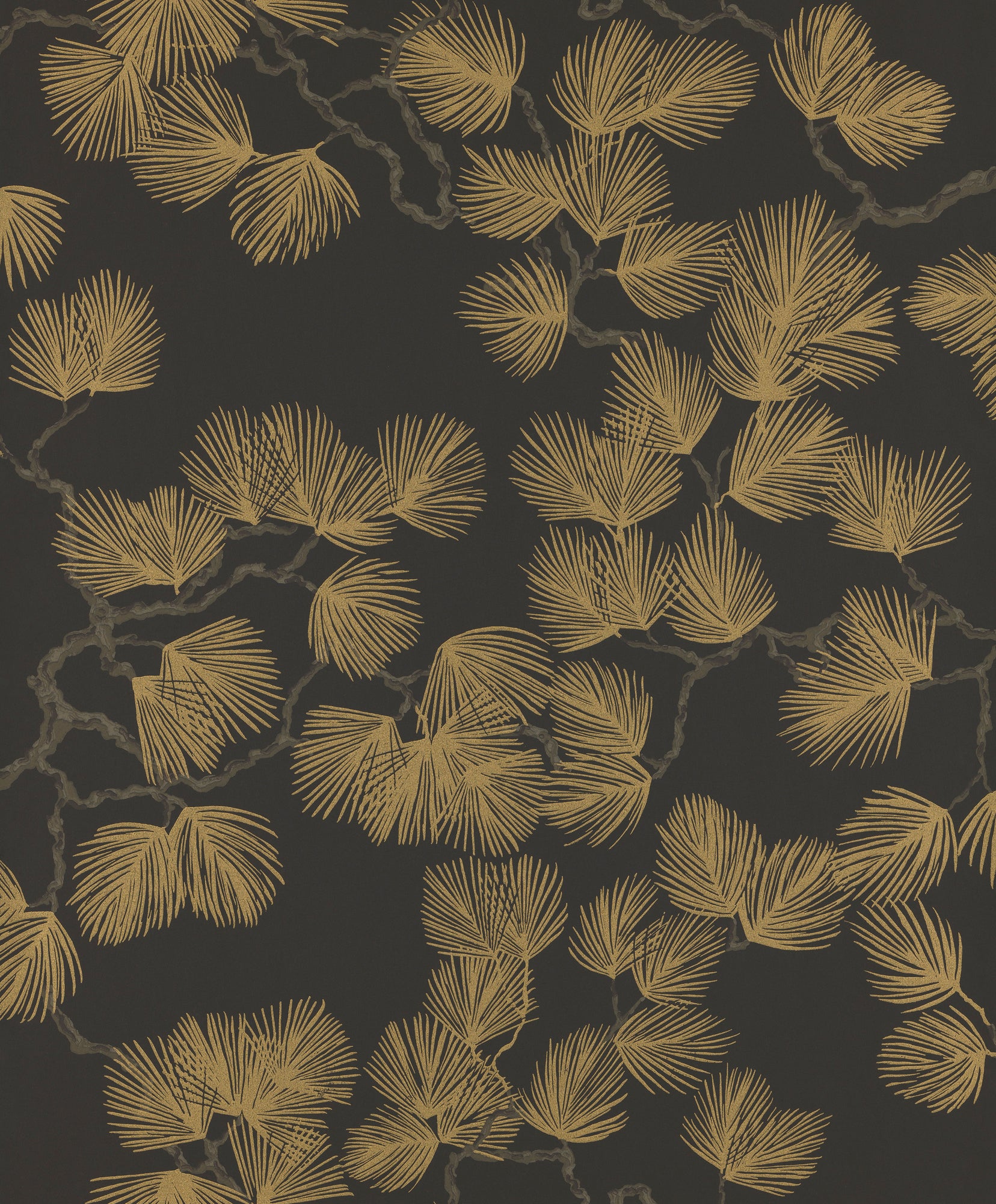 Pine, Black