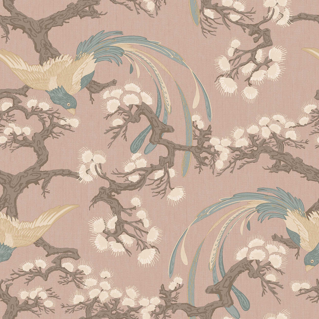 Fenix, Pink