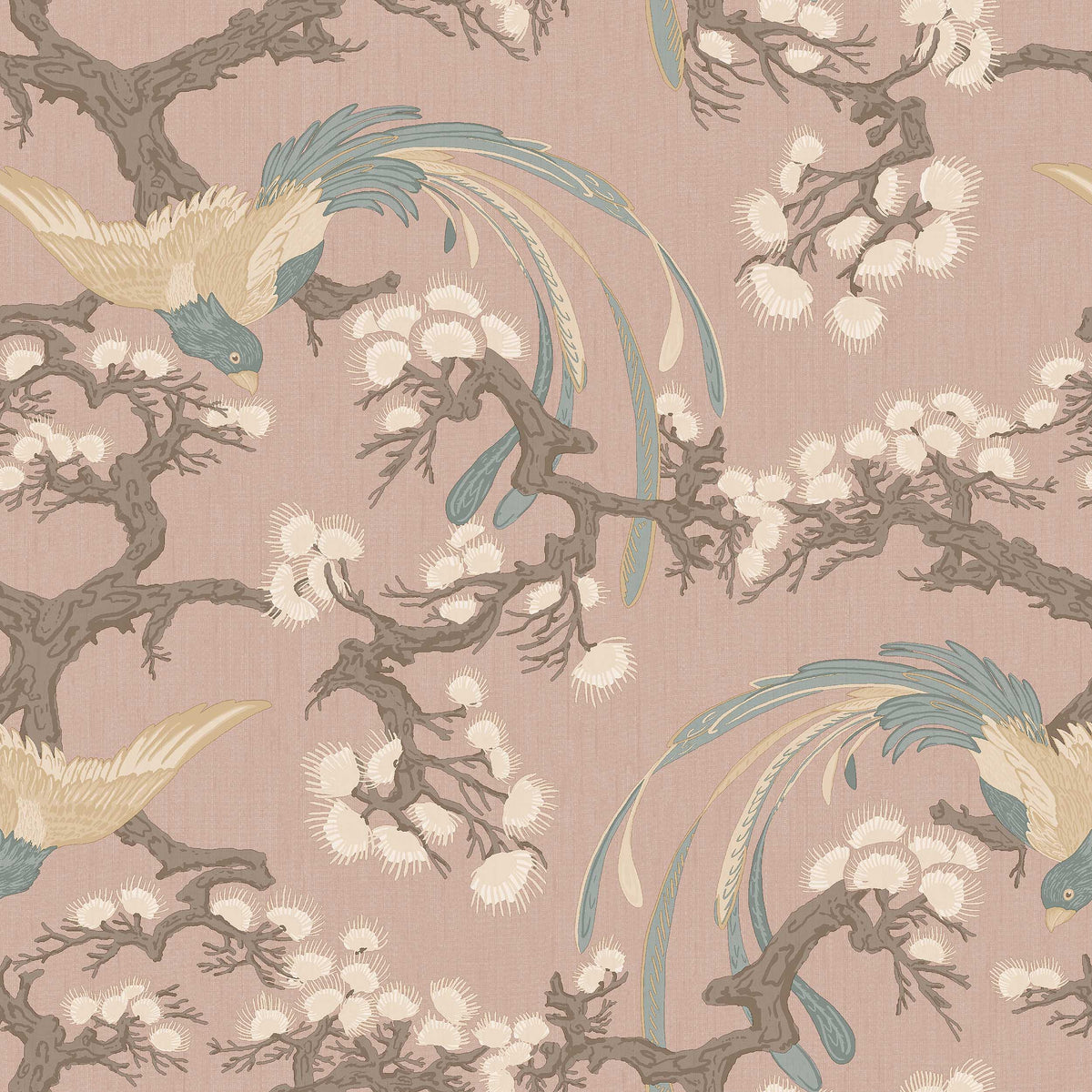 Fenix, Pink