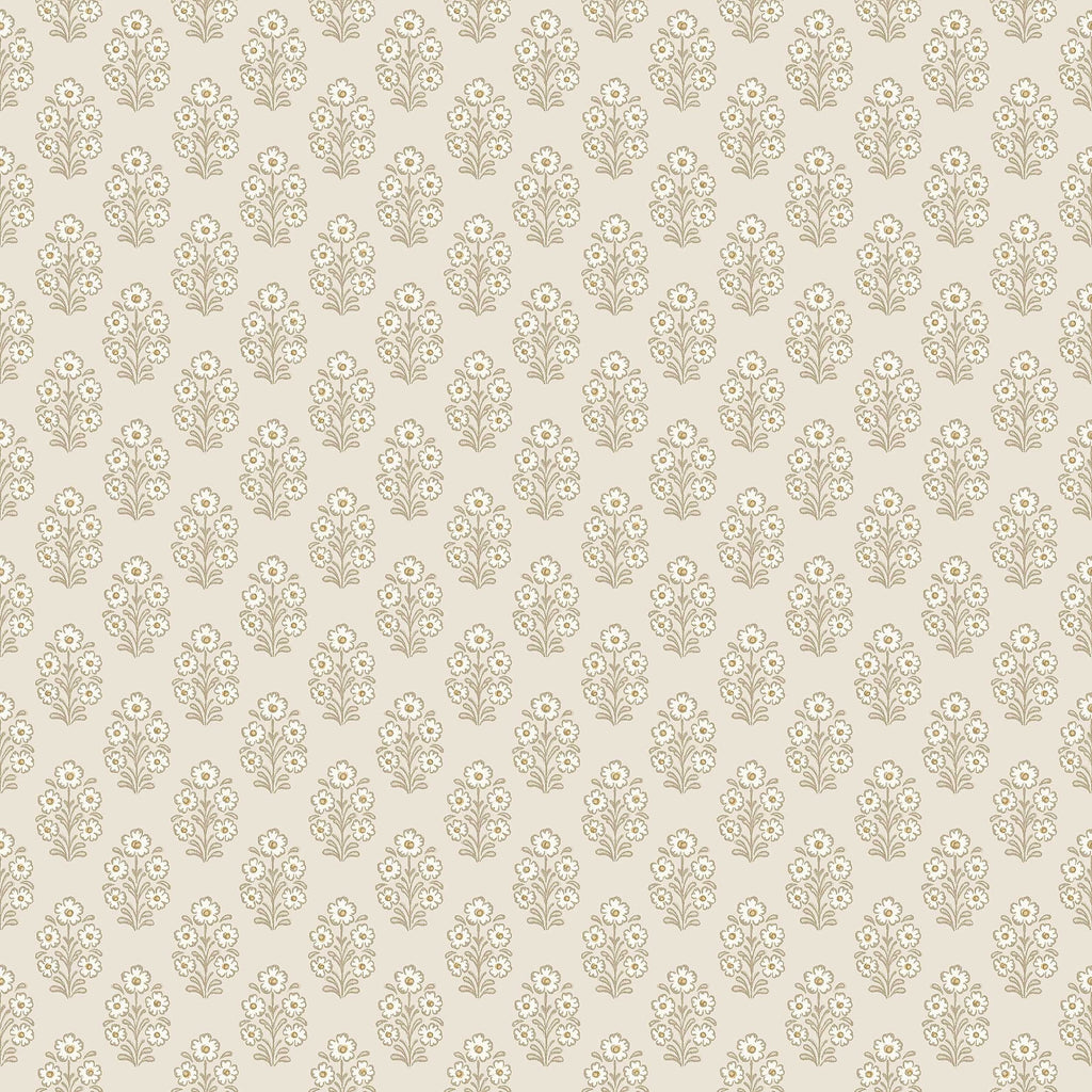 Sibylla, Beige