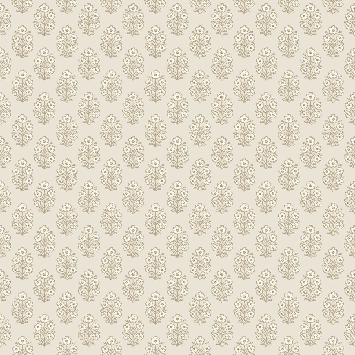 Sibylla, Beige