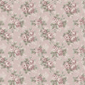 Helena, Pink