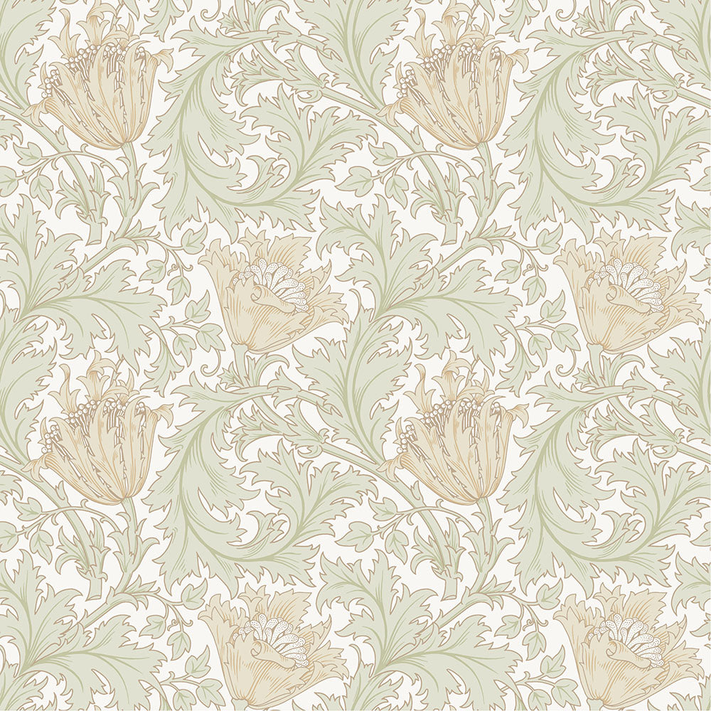 Anemone – W. Morris – 82002