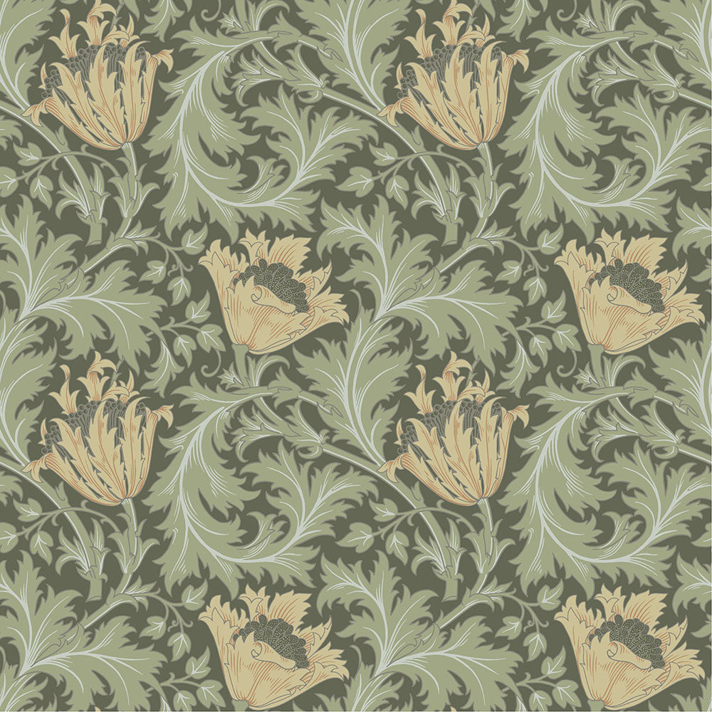 Anemone – W. Morris – 82004