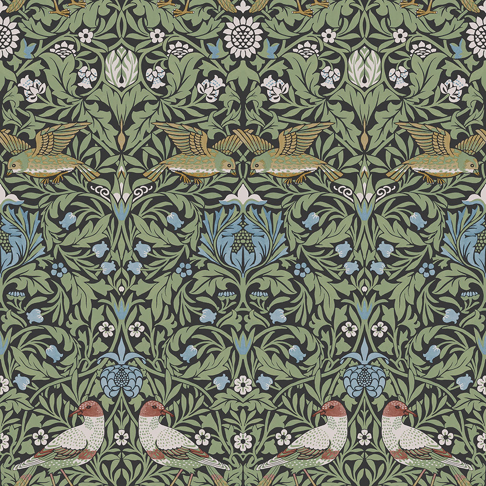 Bird – 82062