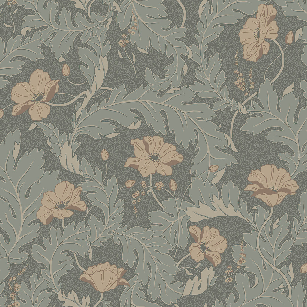 Charlotta, Forest Green