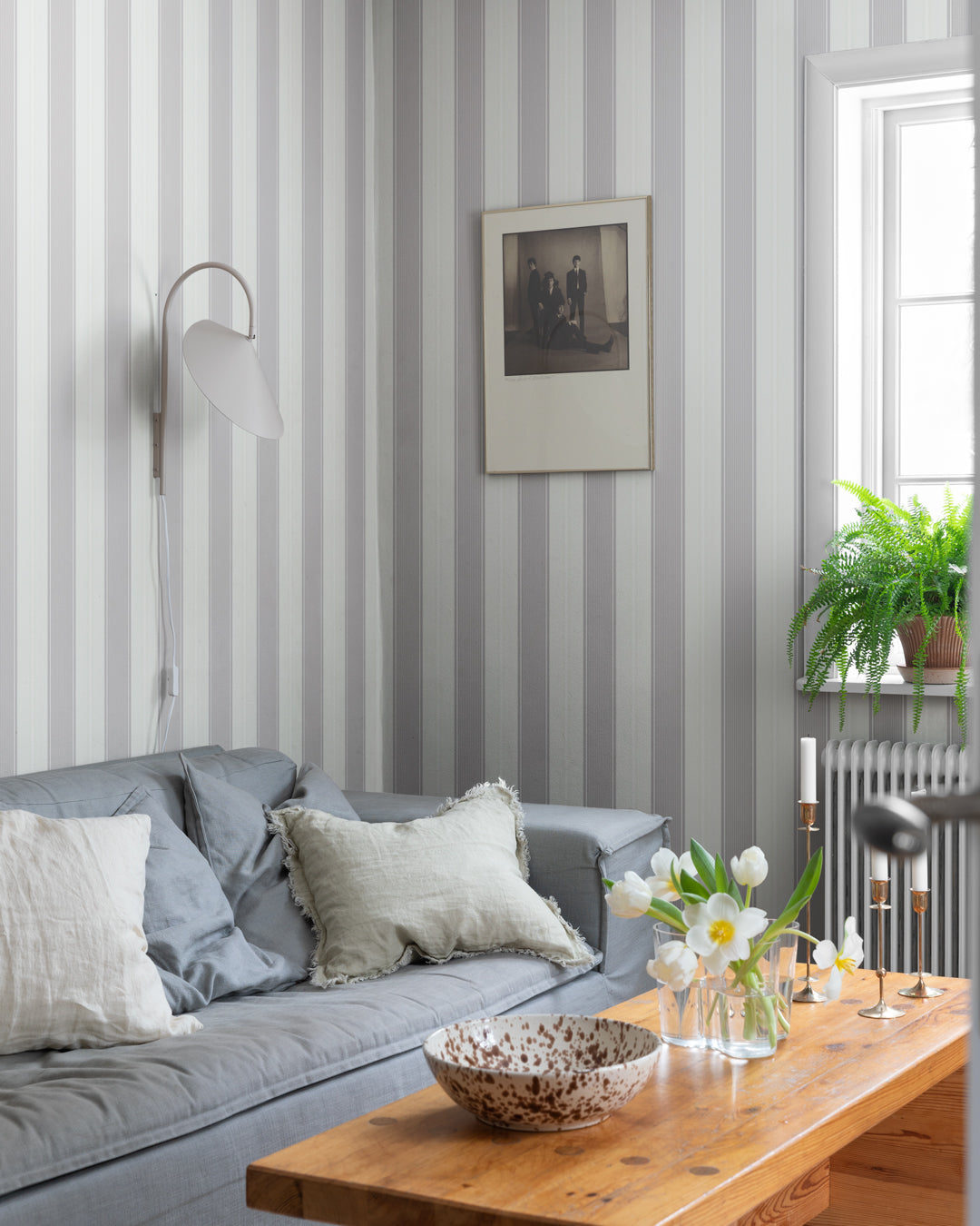 Fred – 92127