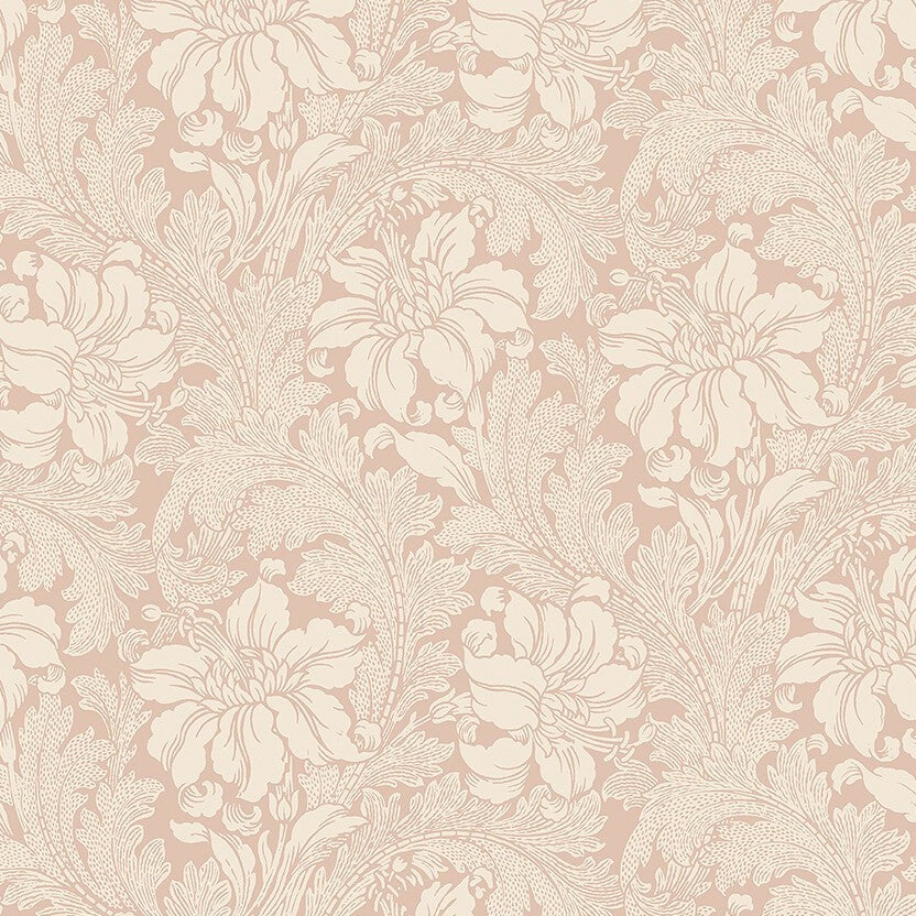 Acanthus - Pink 2009