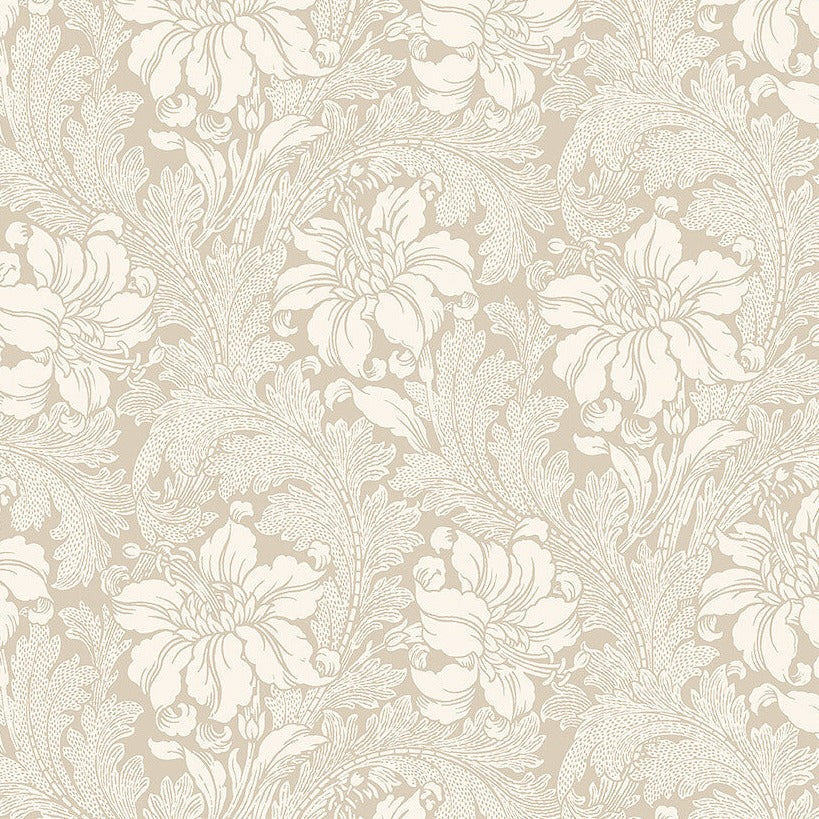Acanthus - Beige 2011