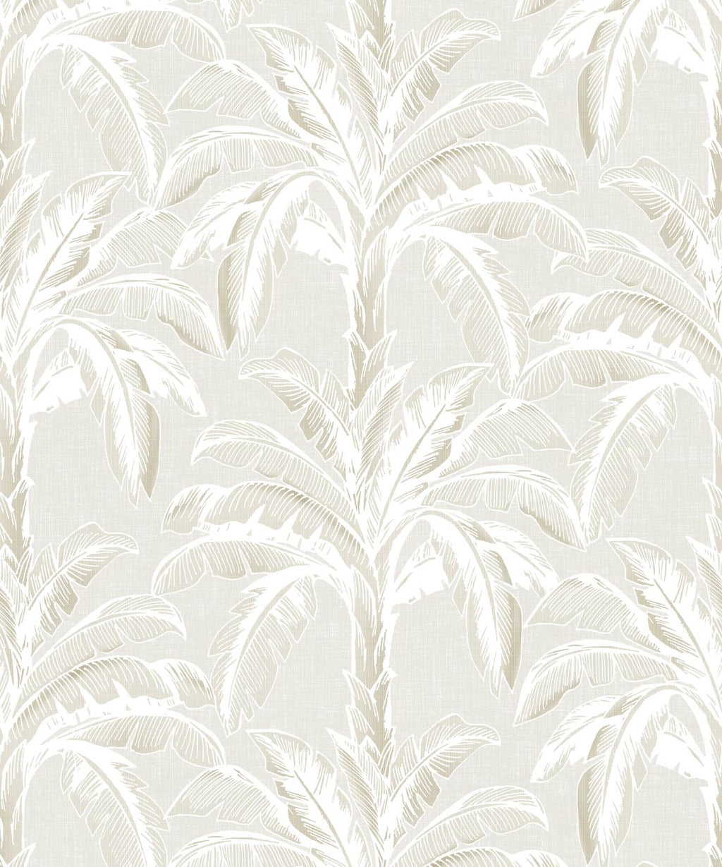 Havana Banana Wallpaper, Plaster Natural