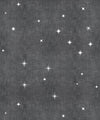 Southern Skies Wallpaper, Charcoal