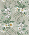 Hibiscus at Double Bay Wallpaper, Beige