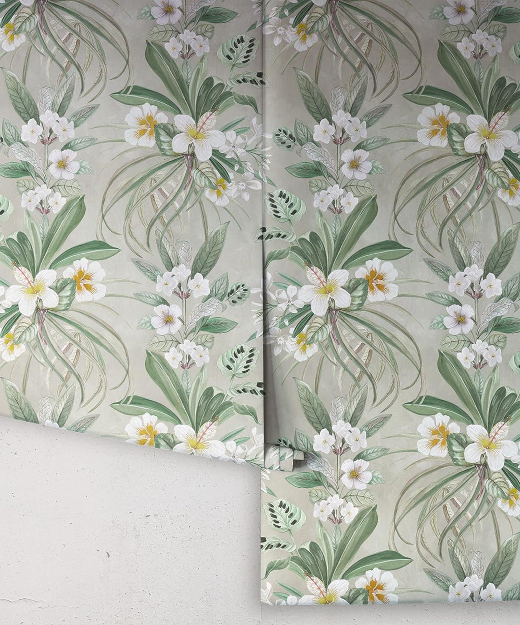 Hibiscus at Double Bay Wallpaper, Beige