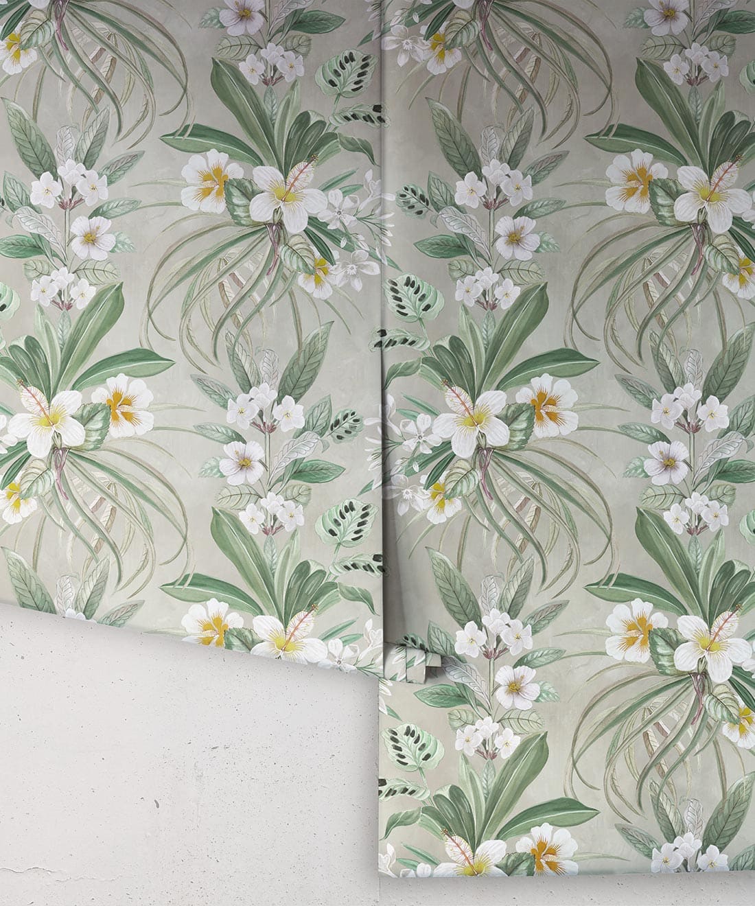 Hibiscus at Double Bay Wallpaper, Beige