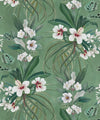 Hibiscus at Double Bay Wallpaper, Green