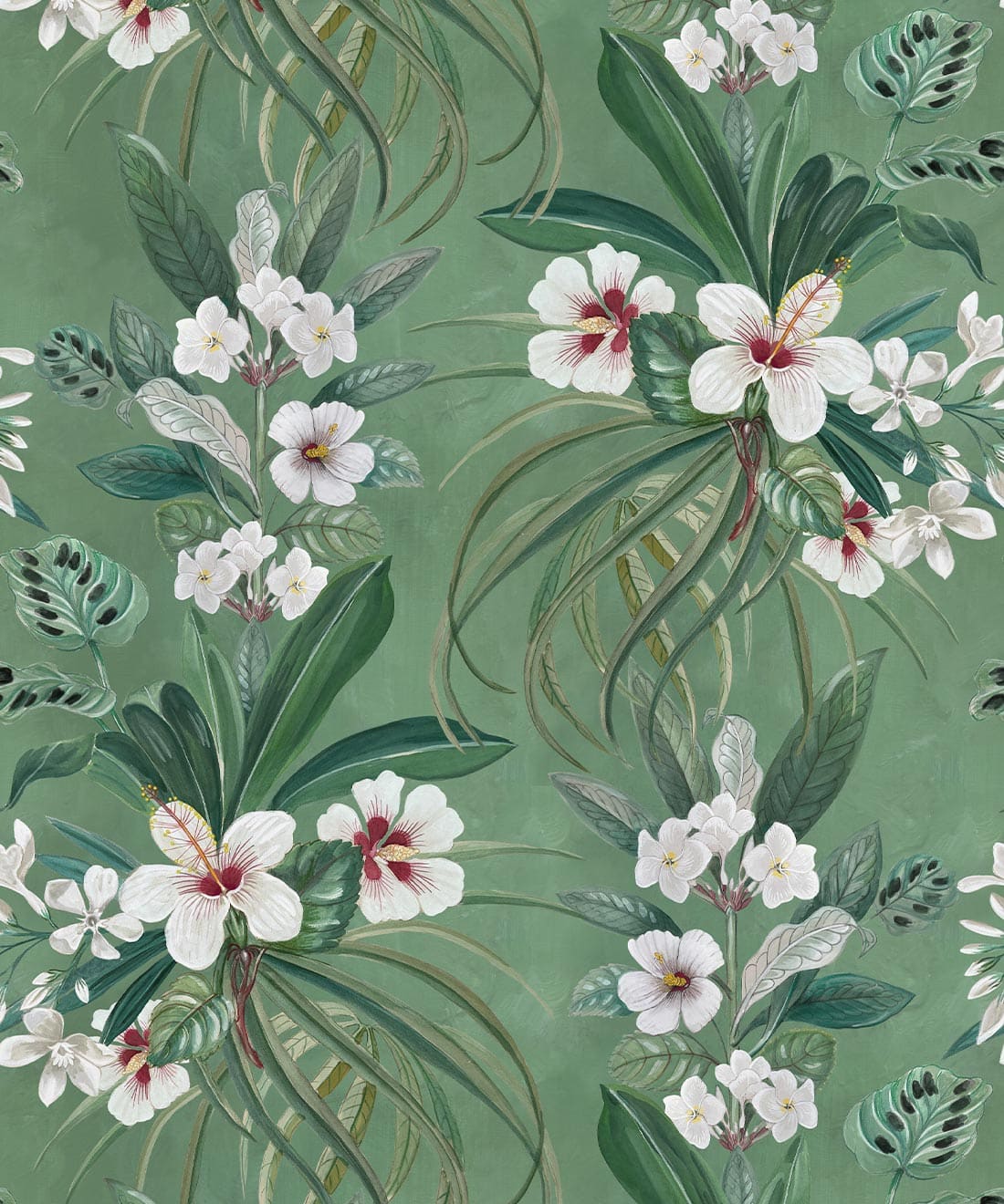 Hibiscus at Double Bay Wallpaper, Green