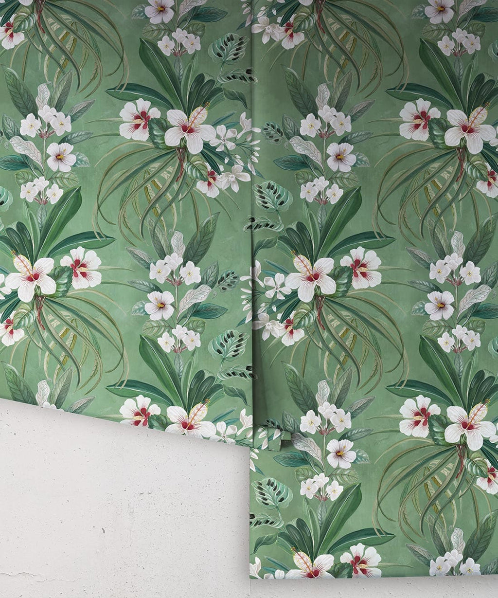 Hibiscus at Double Bay Wallpaper, Green