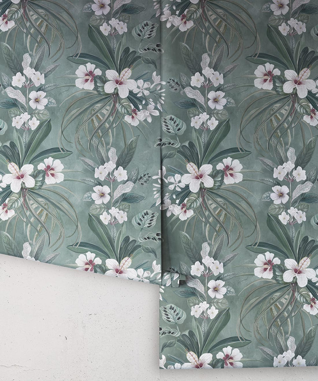 Hibiscus at Double Bay Wallpaper, Khaki