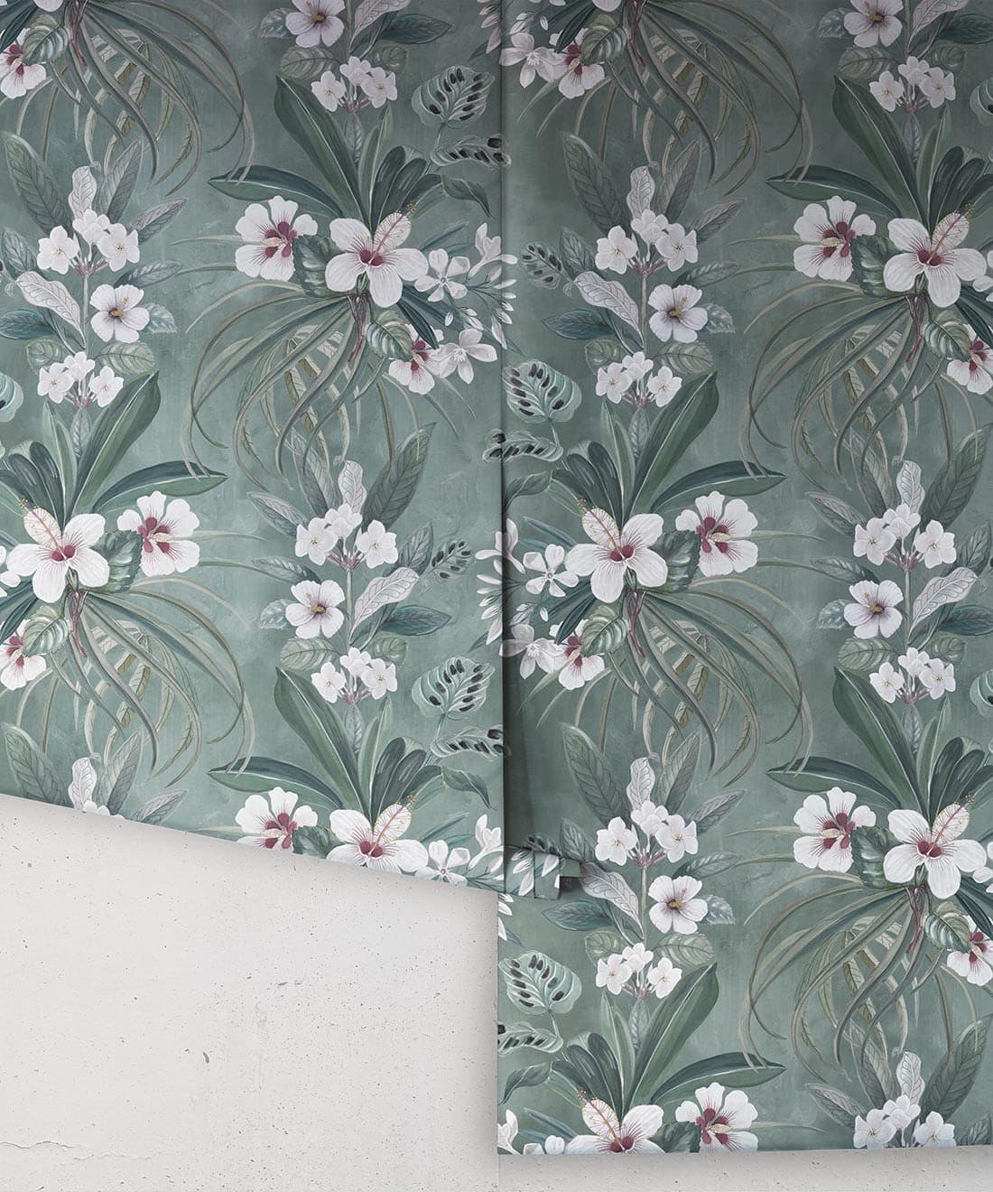 Hibiscus at Double Bay Wallpaper, Khaki