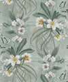 Hibiscus at Double Bay Wallpaper, Tangerine