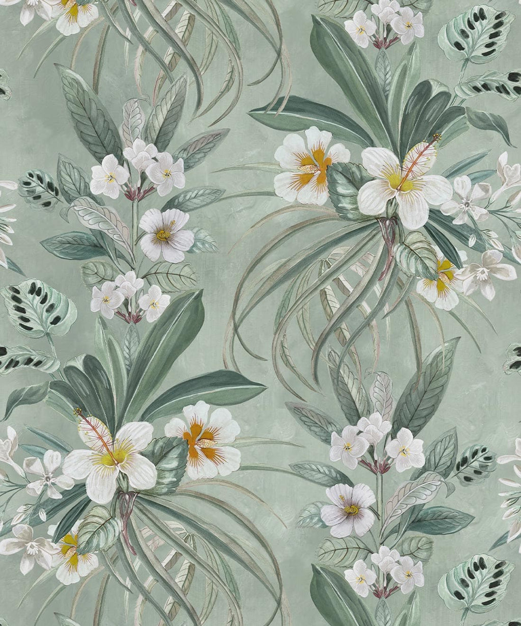Hibiscus at Double Bay Wallpaper, Tangerine