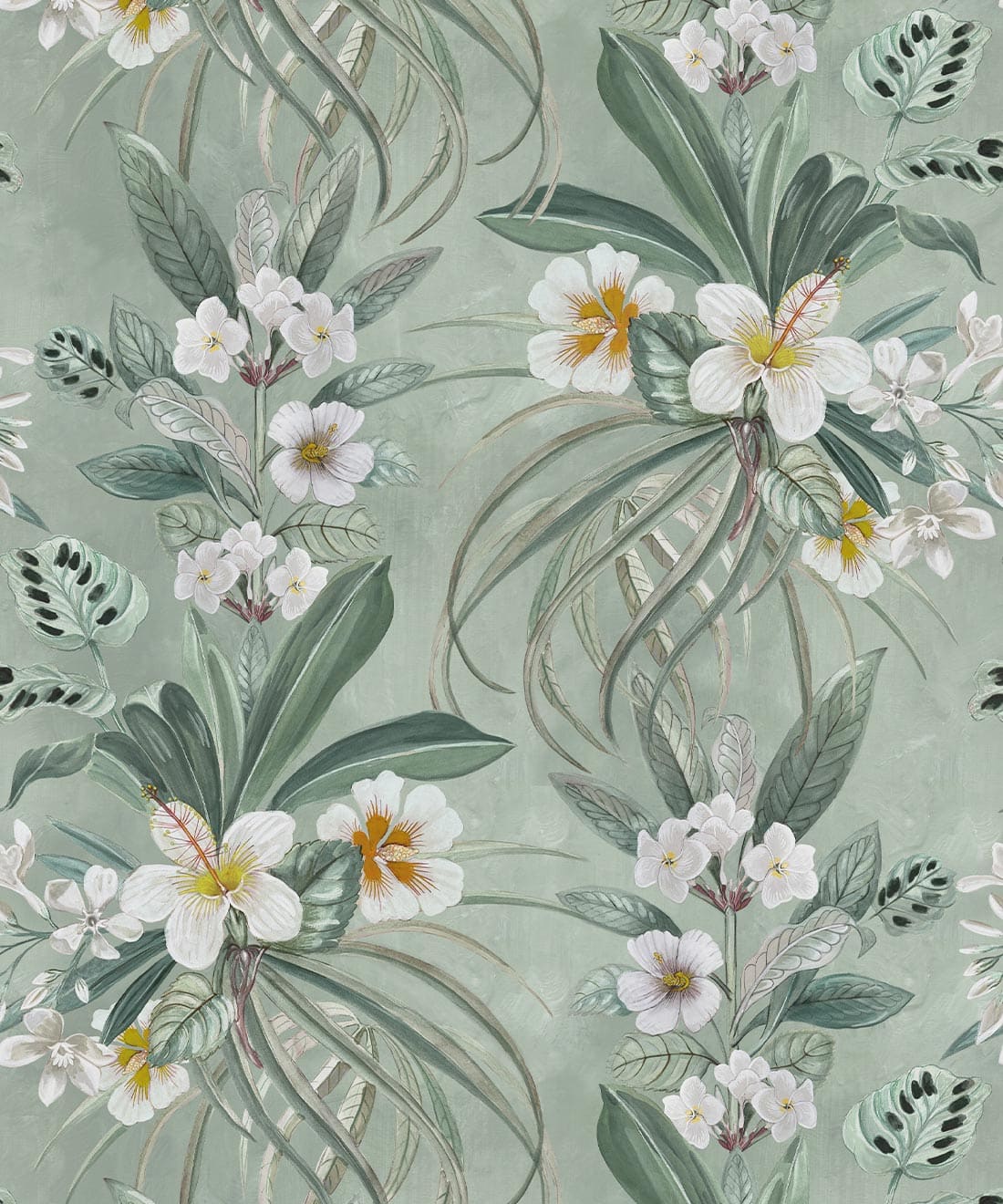 Hibiscus at Double Bay Wallpaper, Tangerine