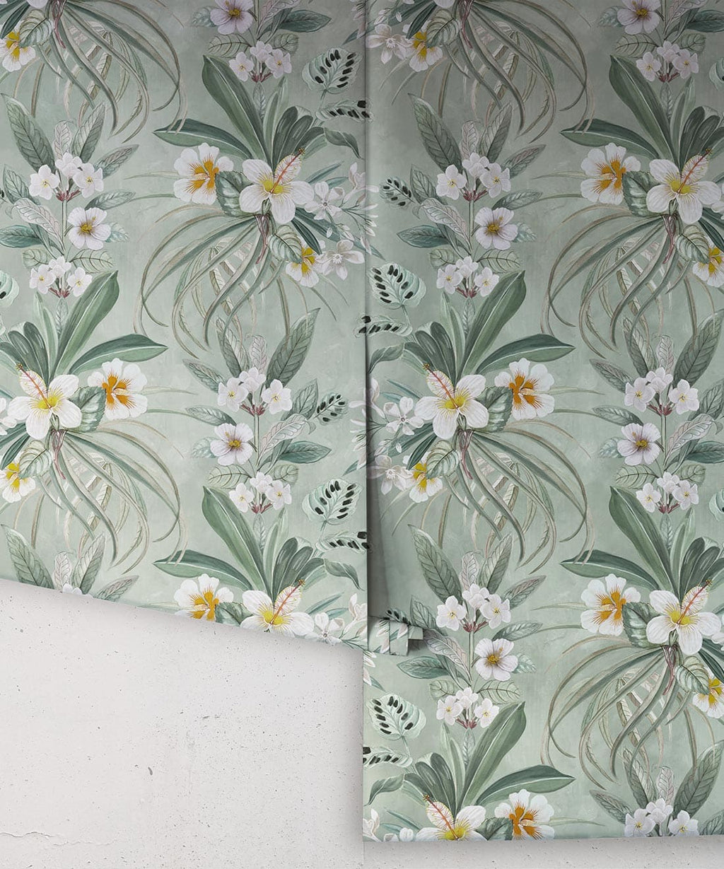 Hibiscus at Double Bay Wallpaper, Tangerine