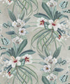 Hibiscus at Double Bay Wallpaper, Whitewash