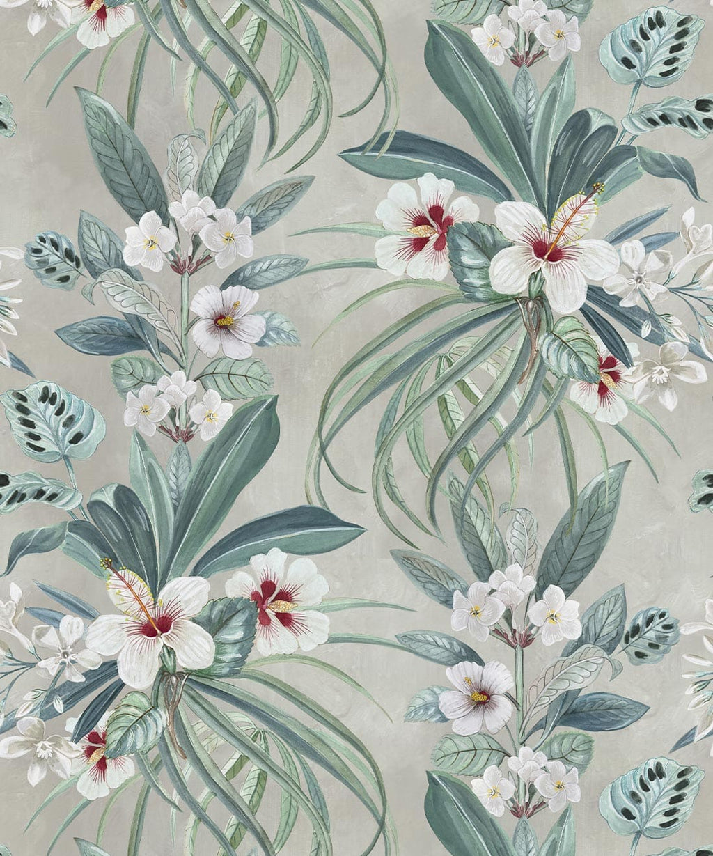 Hibiscus at Double Bay Wallpaper, Whitewash